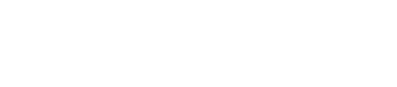 Datastorms